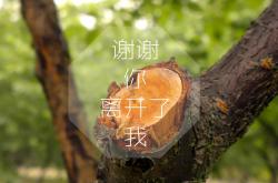 开云体育入口-沙漠玫瑰与恒河漩涡，2026世界杯A组，贝林厄姆在印度与摩洛哥的文明碰撞中，定义足球的唯一性