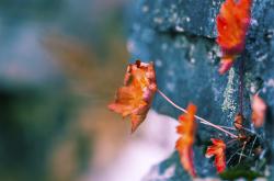 开云体育在线-冰封刺透长夜，石宇奇点燃不可能的逆转烽火