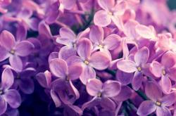 开云体育官网-红土之王vs硬地谜题，兹维列夫在法网解锁了什么？