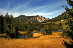 开云体育APP下载-北境新王！西亚卡姆44分撕裂雄鹿防線，猛龍生死戰晉級東決