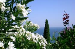 开云sport-鹰击长空破广厦，哈利伯顿一剑封喉，一场定义唯一性的跨洋对决