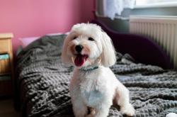 开云体育-勇气与冷静，双子星在远方的共振—乌克兰的毕尔巴鄂时刻与法比尼奥的欧冠之夜