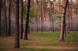 开云体育在线-厄德高奇迹一击，埃及与亚特兰大的绿茵史诗