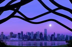 开云体育在线-悬念焚烧炉—罗德里在里昂关键一役提前焊死比利时奥运门票