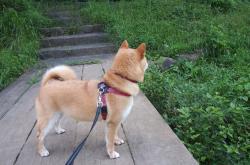 开云体育APP下载-一夜传说，永恒瞬间