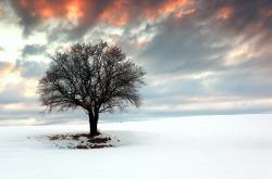 开云体育官网-平行世界的同频心跳，当美加墨焦点战遇见掘金晋级夜，辽宁的篮球基因与世界共振