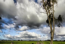 开云体育登录-红牛车队绝杀索伯车队，勒克莱尔关键制胜