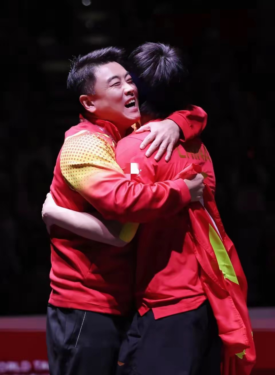 韩国乒乓球队强势波兰乒乓球队，王皓高光表现的简单介绍