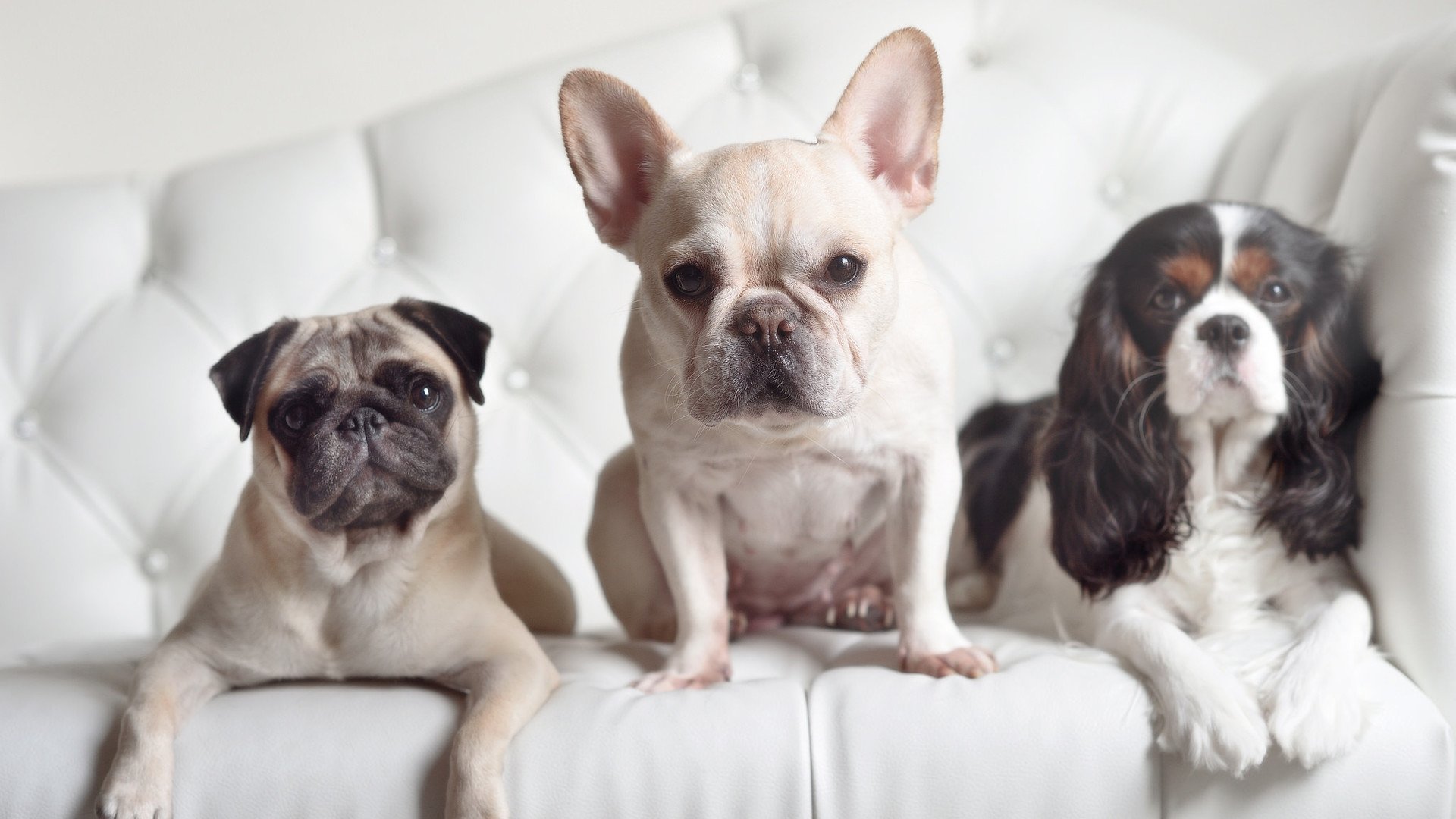 平行宇宙入口打开？数据揭示北京队绝杀勇士与杜兰特带队取胜同时成立