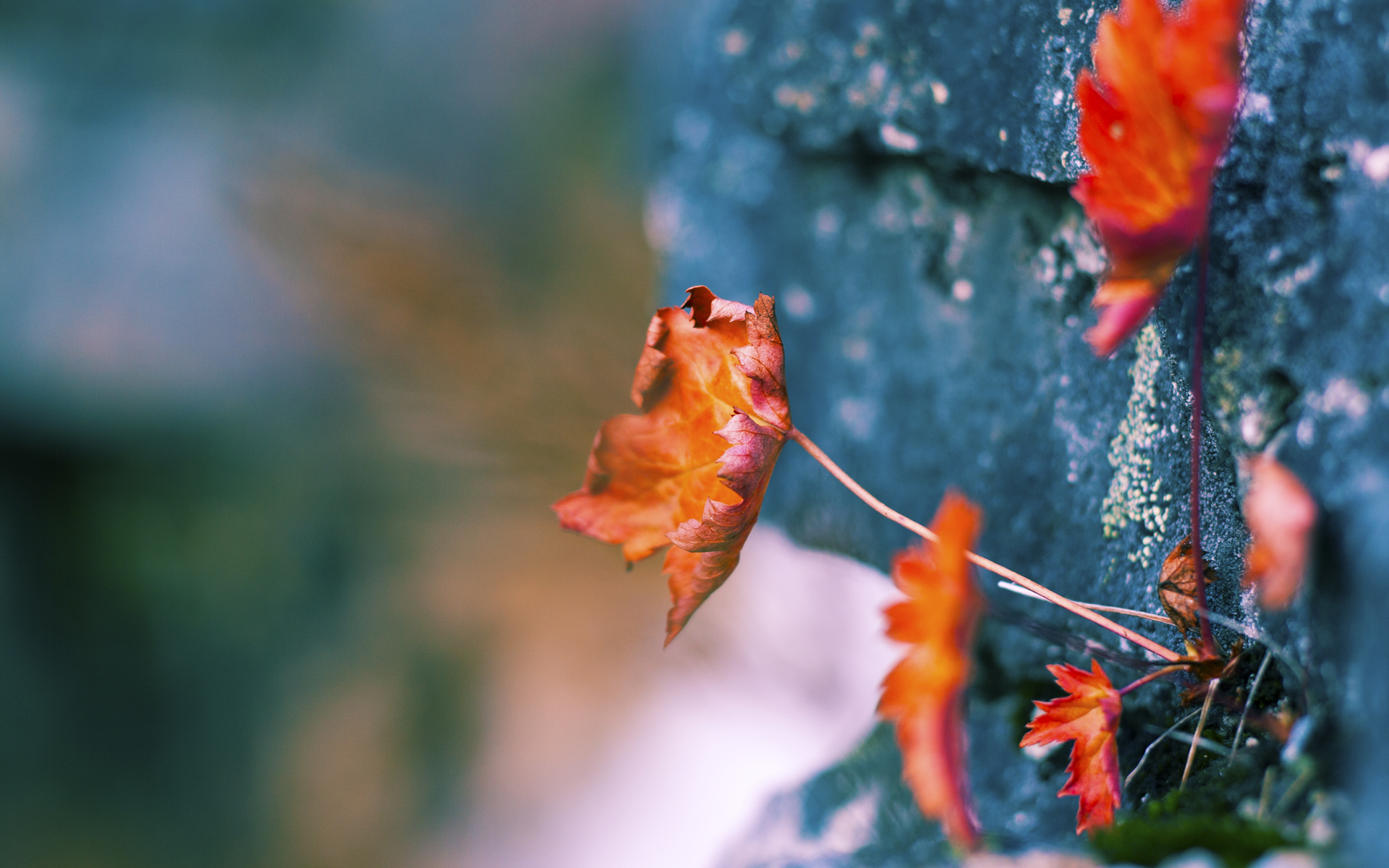 冰封刺透长夜，石宇奇点燃不可能的逆转烽火