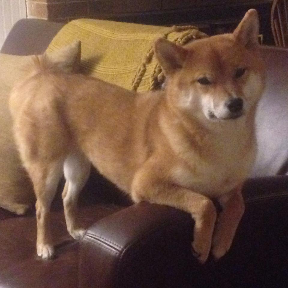 尼日利亚强行终结切尔西!阿克统治级数据铸就历史性胜利