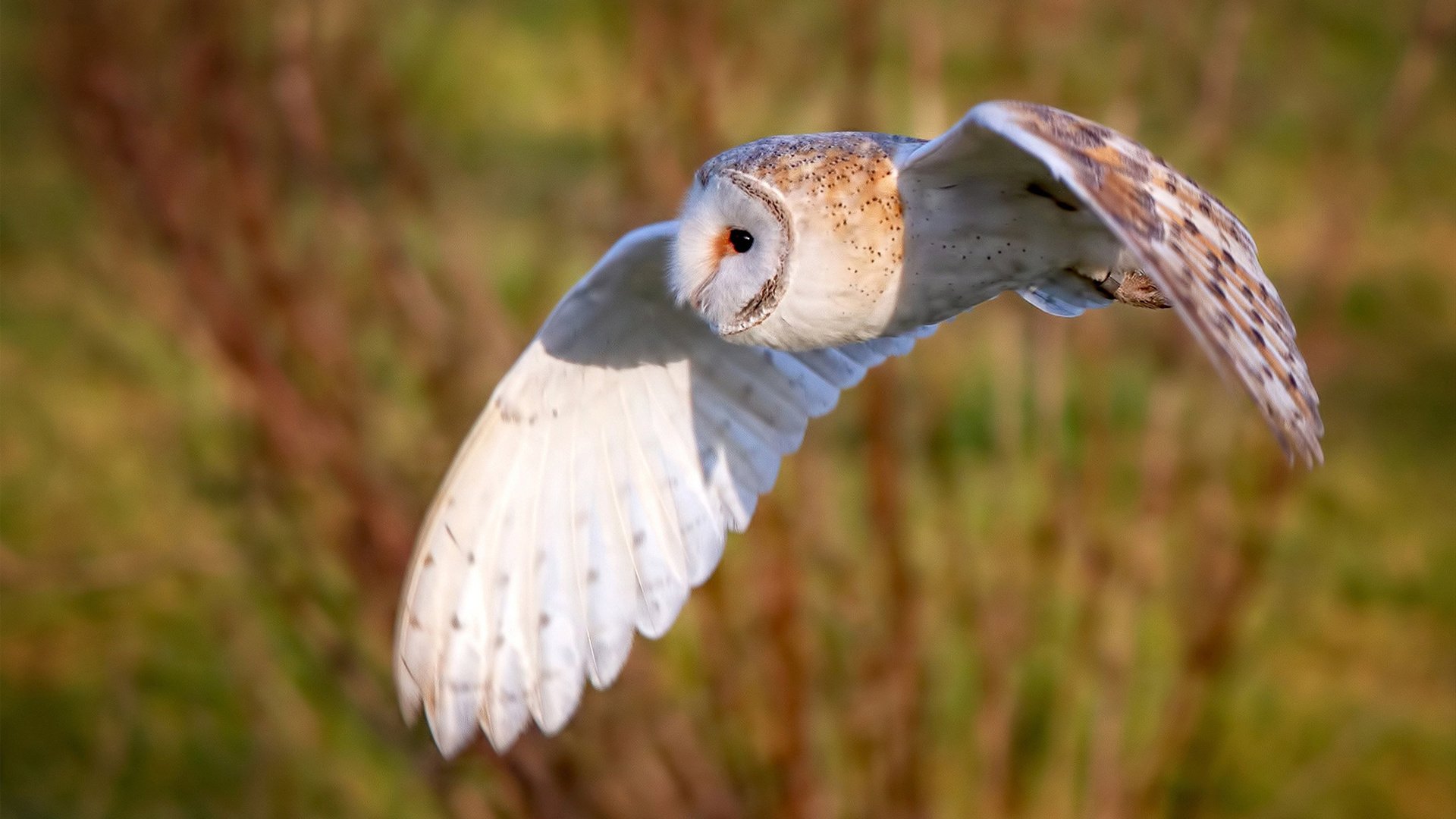 乔治存在感拉满之夜,一记火锅,两个城市,与千千万万个我