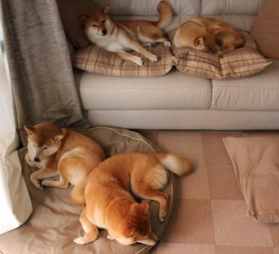 雷霆对阵山西队，这是一战的缩影，一个新时代篮球范式的残酷奠基