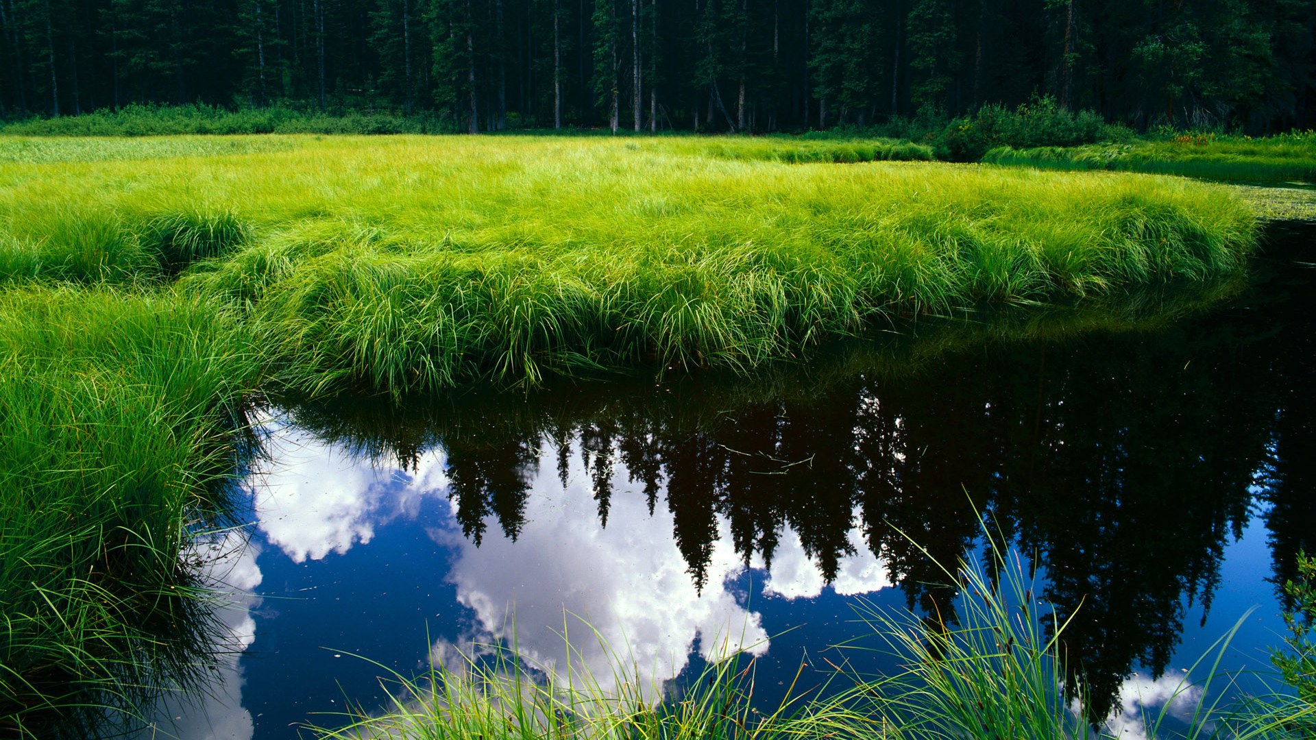 浓眉决定性时刻,森林狼战术体系成功压制勇士