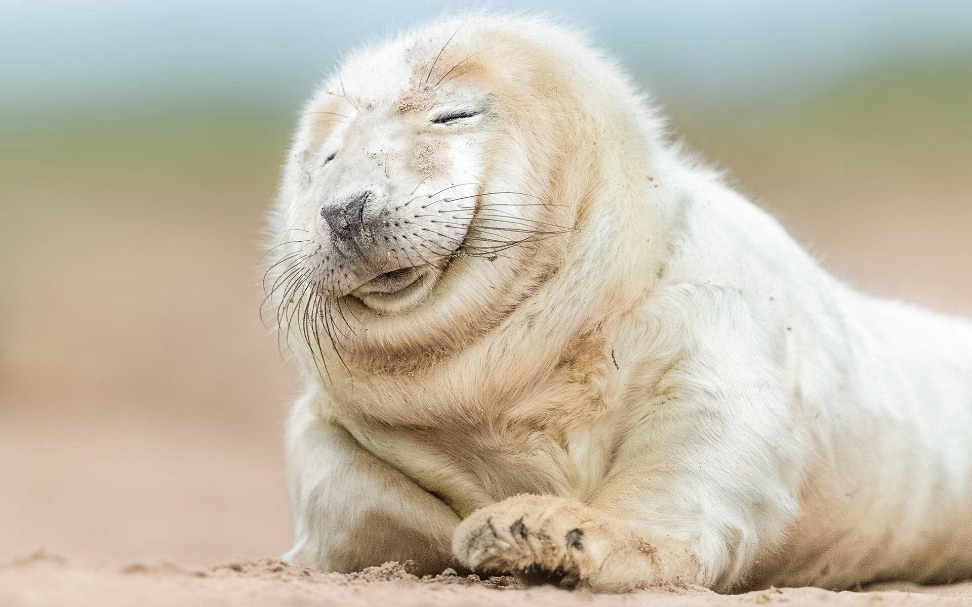 第三节的审判，乔治16分狂潮，上海男篮一波流卷走步行者