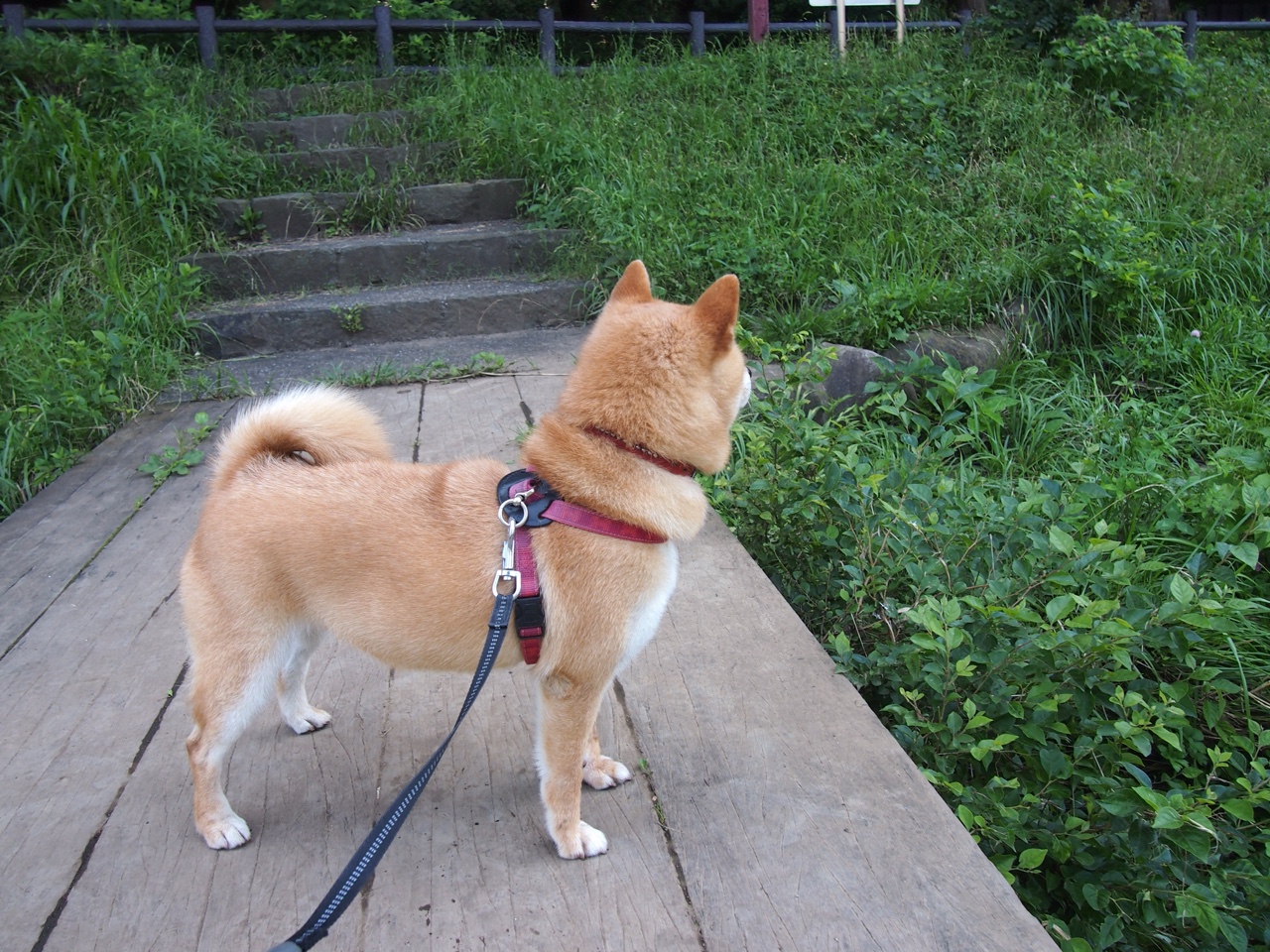 一夜传说,永恒瞬间