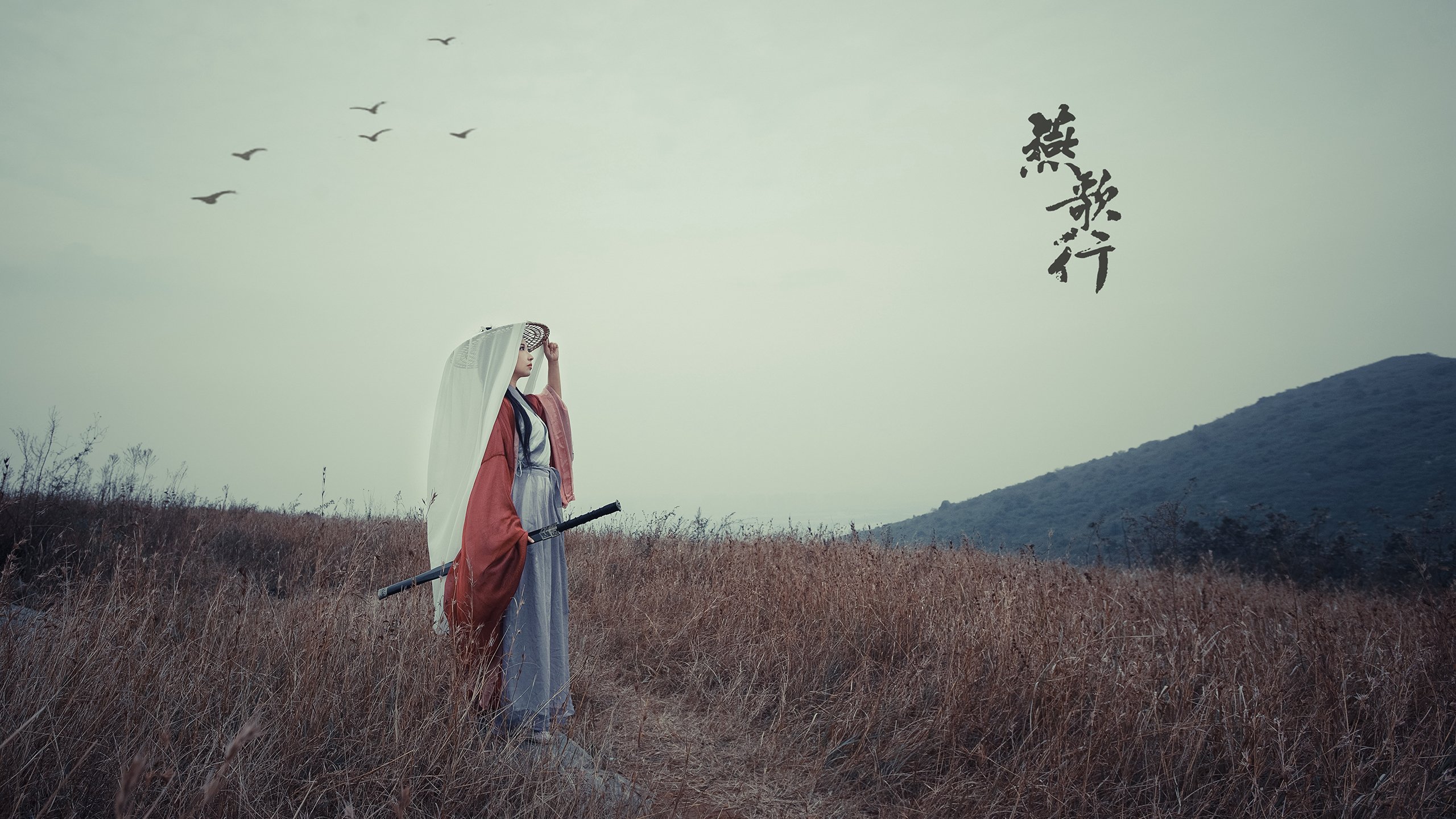 双重舞台,当马刺的团队哲学与范弗利特的接管时刻隔空交响