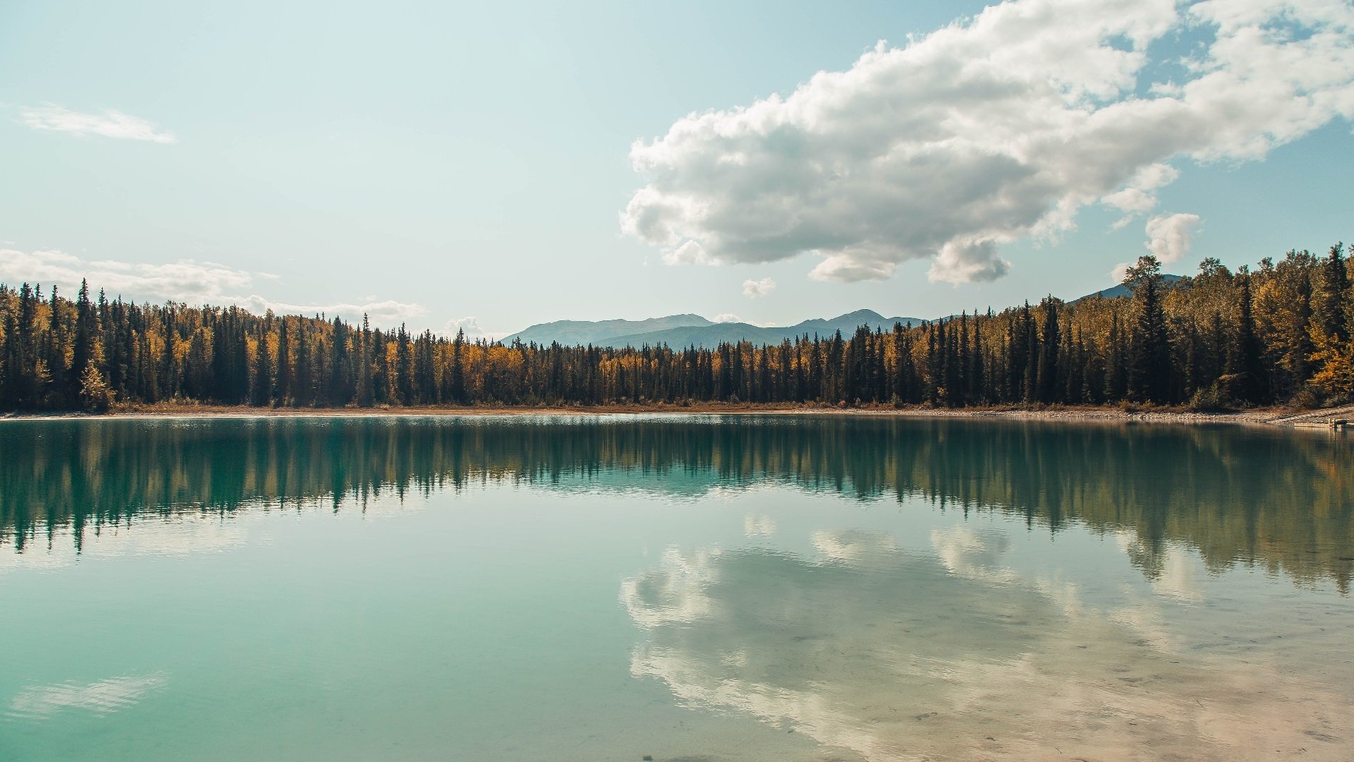 球场上的末节哲学,当富安健洋爆发遇见埃及带走美国