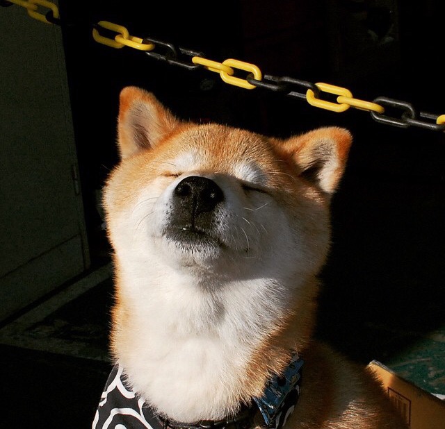 机械降神?英超争冠战中丹麦式防守如何锁死玻利维亚火力