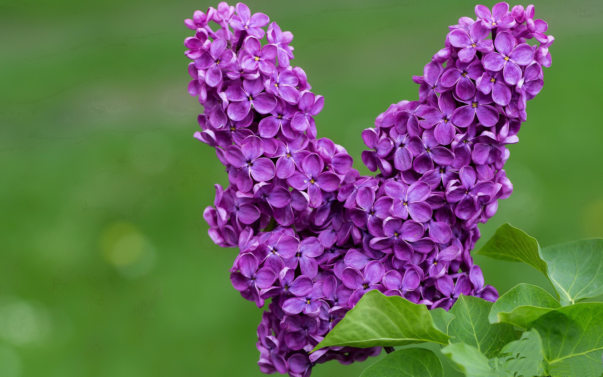 奇才淘汰赛过关广东队，杜兰特2026世界杯接管比赛，篮球世界的跨界交响