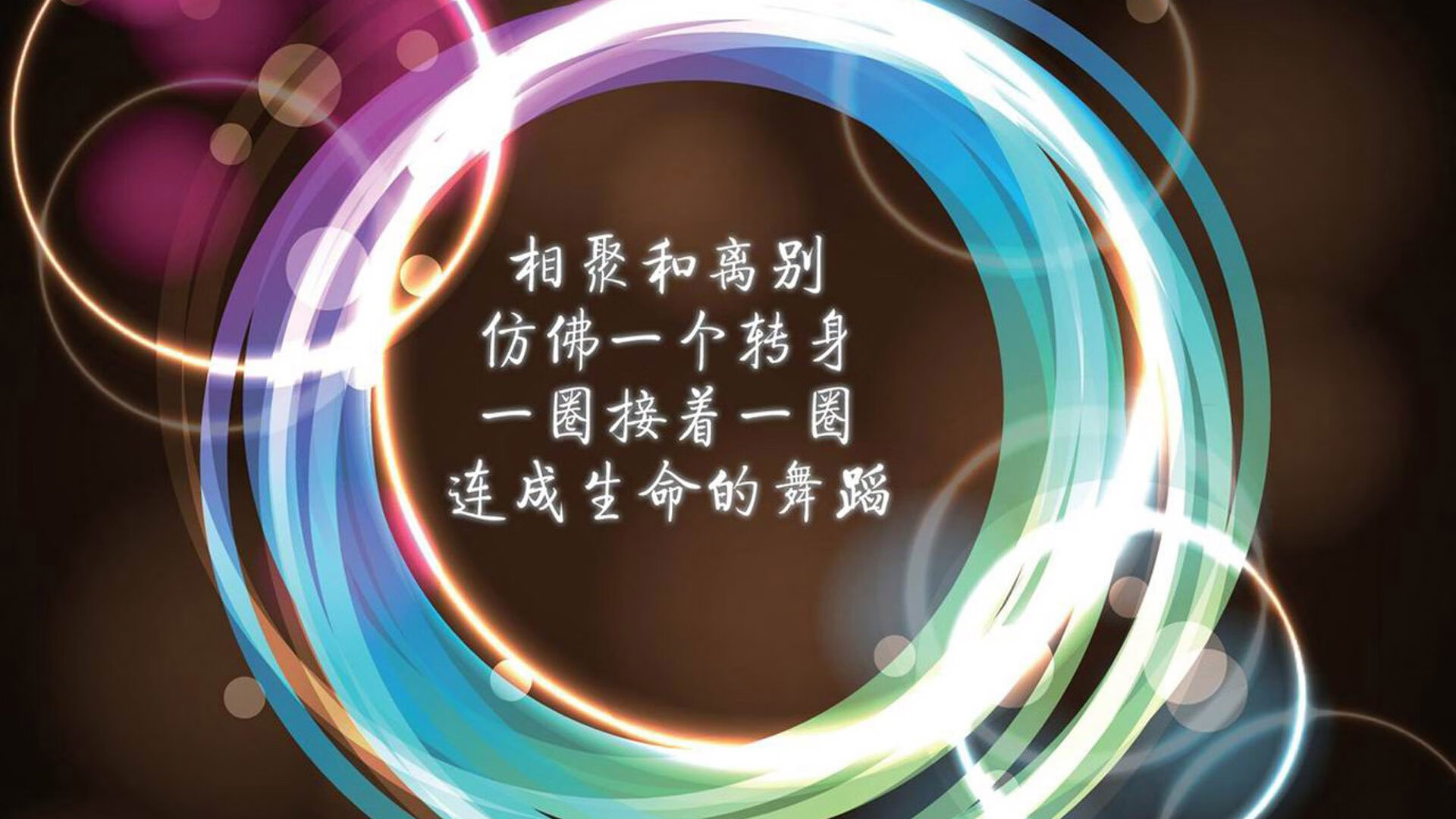 南美猎鹰振翅高飞，厄瓜多尔完胜罗马尼亚，罗德里戈中场统治力闪耀2026世界杯D组