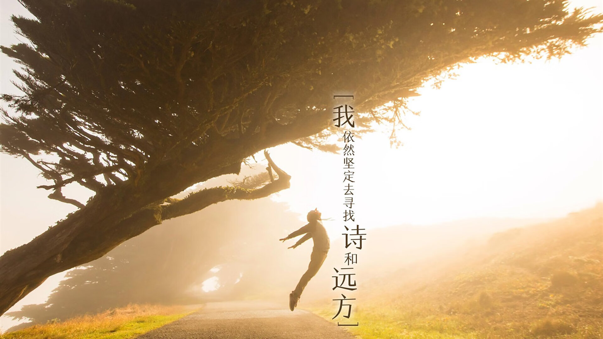 2026世界杯C组生死局，日本铁骑破匈牙利，莱万孤星闪耀难救主
