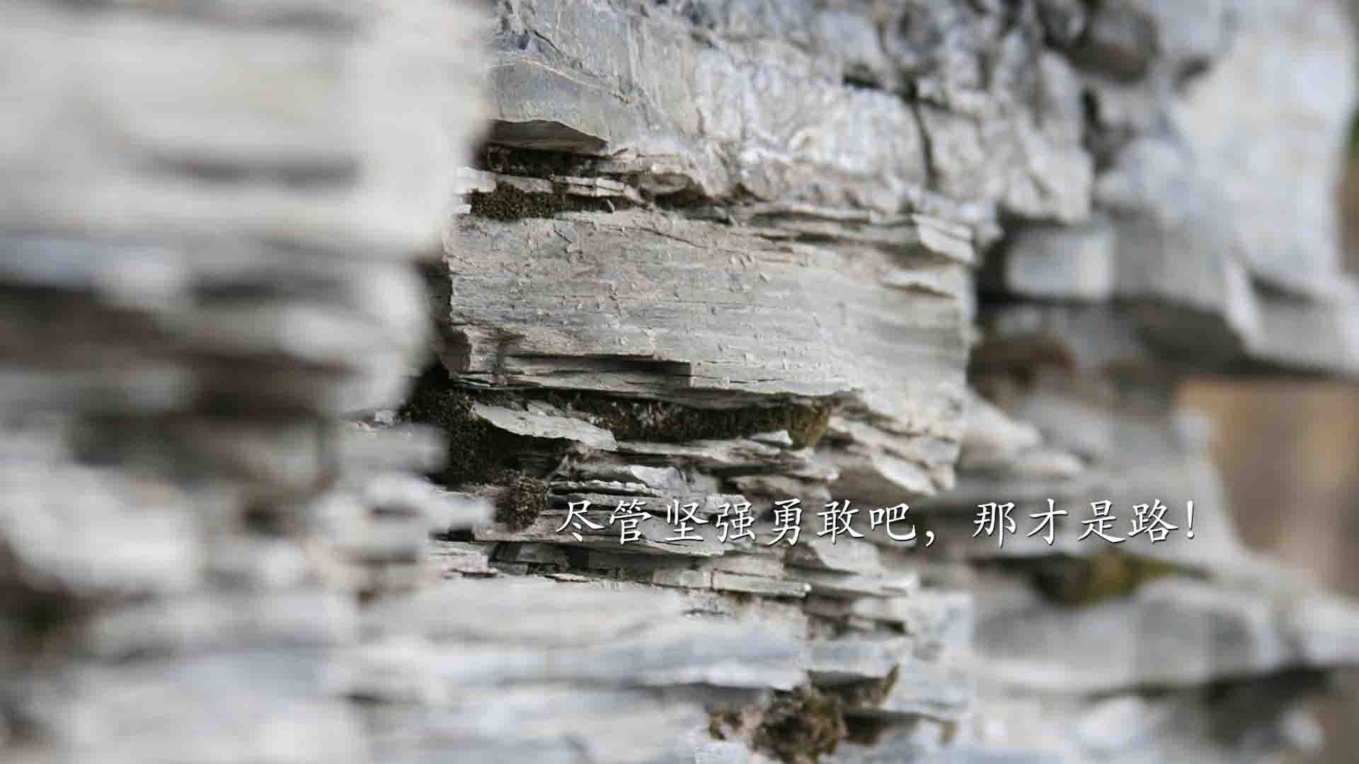 北极光暗淡，东欧铁骑踏碎冰原，2026世界杯淘汰赛，斯洛伐克用一场狂胜宣告新时代降临