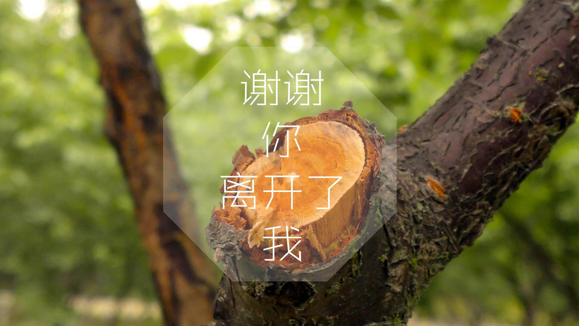 沙漠玫瑰与恒河漩涡，2026世界杯A组，贝林厄姆在印度与摩洛哥的文明碰撞中，定义足球的唯一性