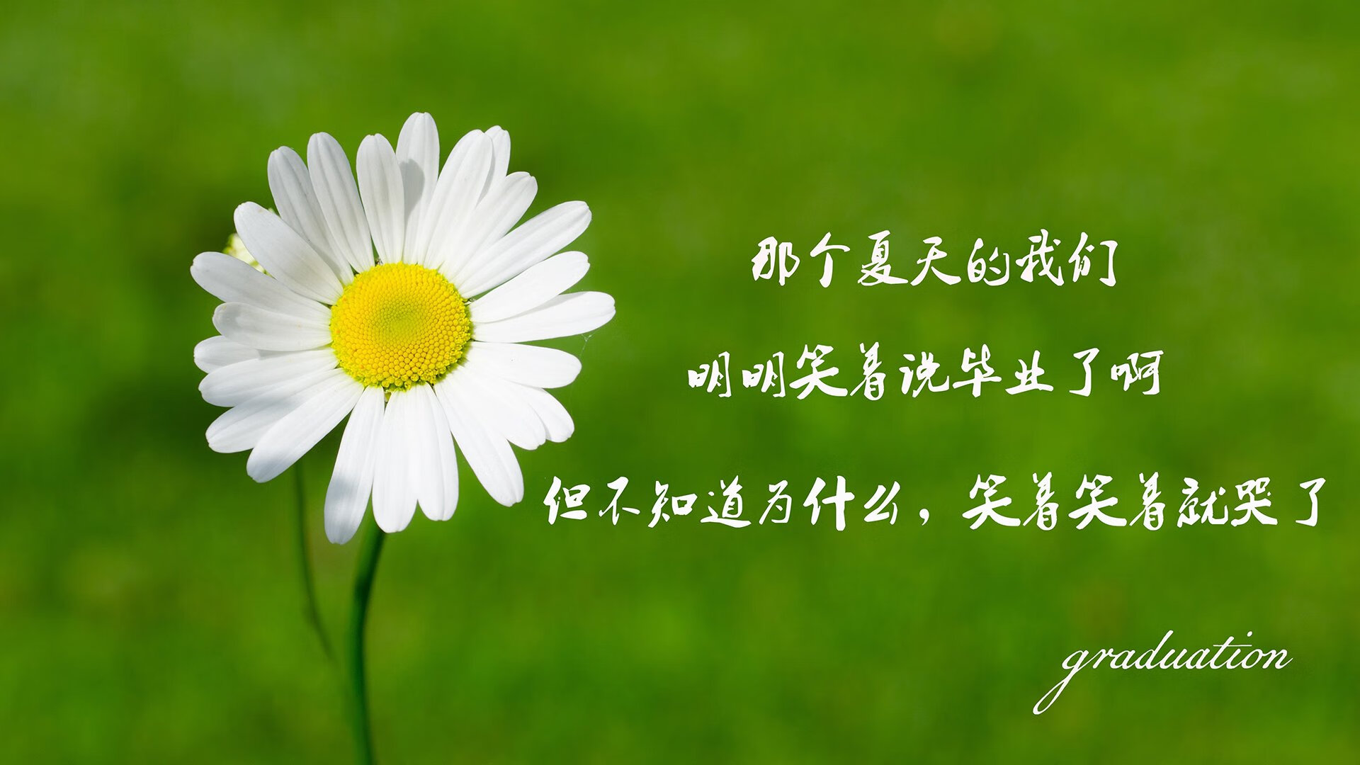 唯一性的夜晚,当卢卡库的阴影笼罩纽约,斯洛伐克在2026世界杯H组写下命运的唯一解